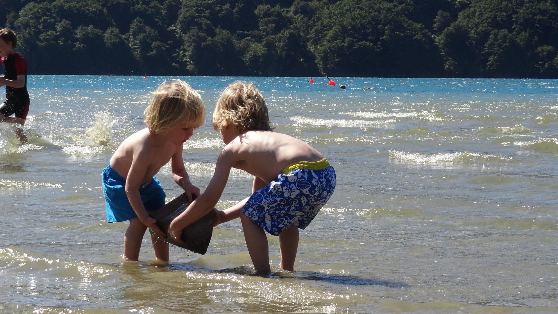 Nieuw Zeeland met kinderen