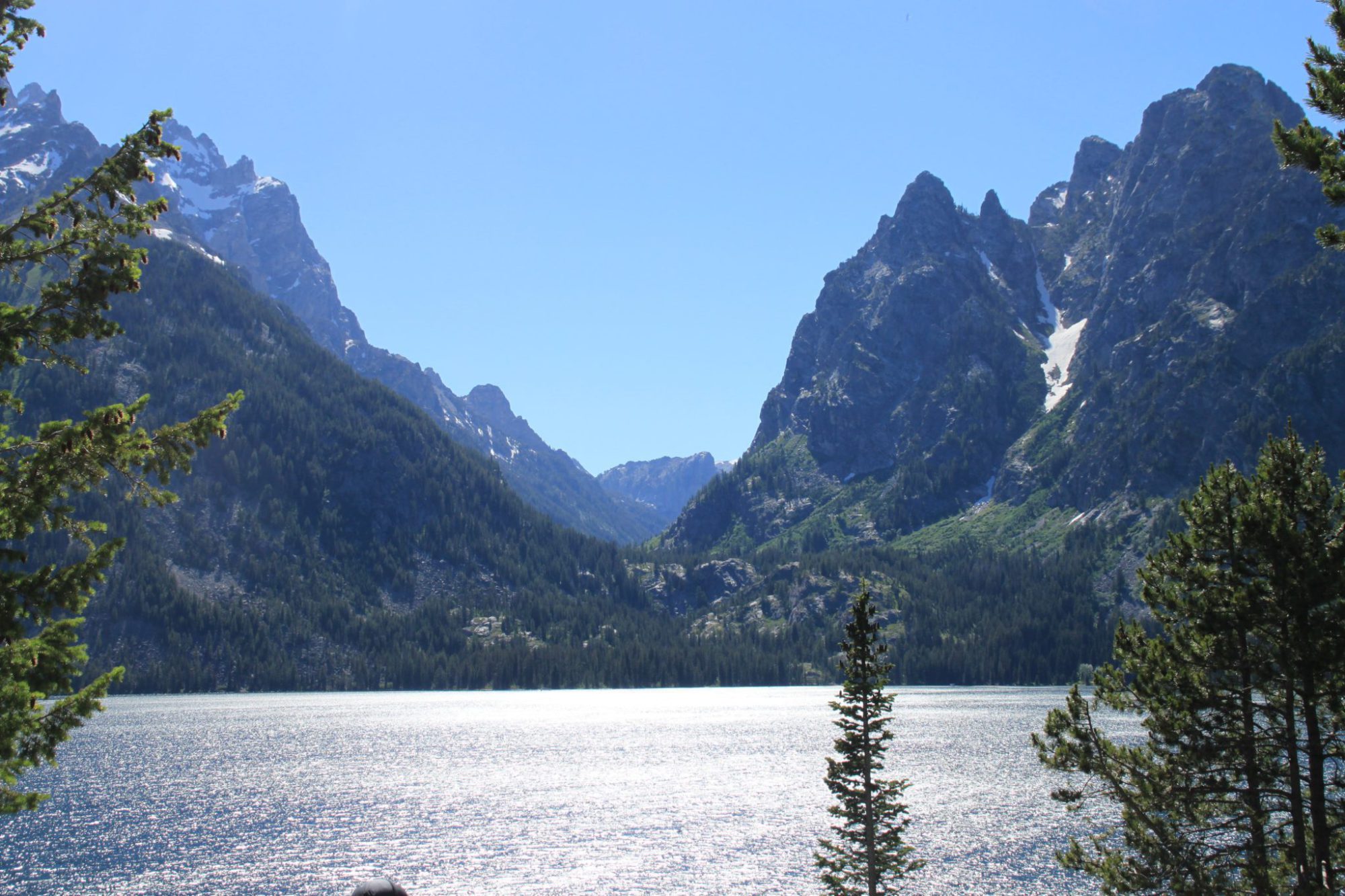 Kids Love Travel: Grand Teton with kids