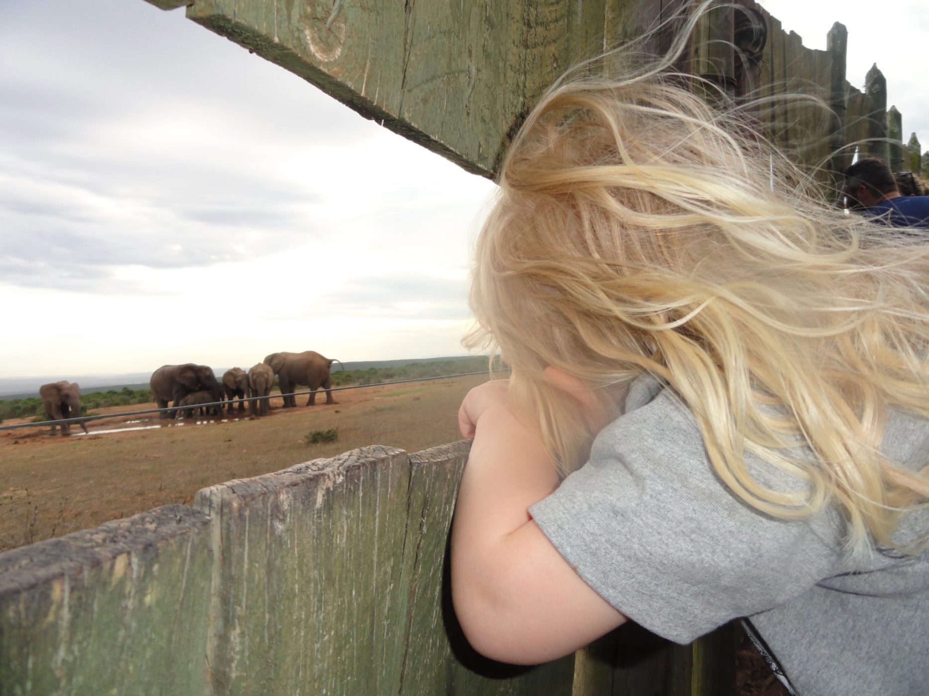 Kids Love Travel: Zuid Afrika