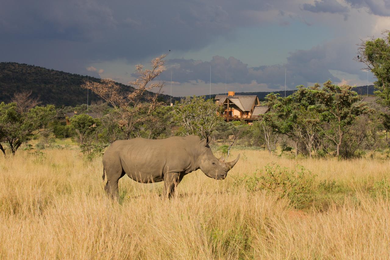 Kids Love Travel Kindvriendelijke hotels in Zuid-Afrika