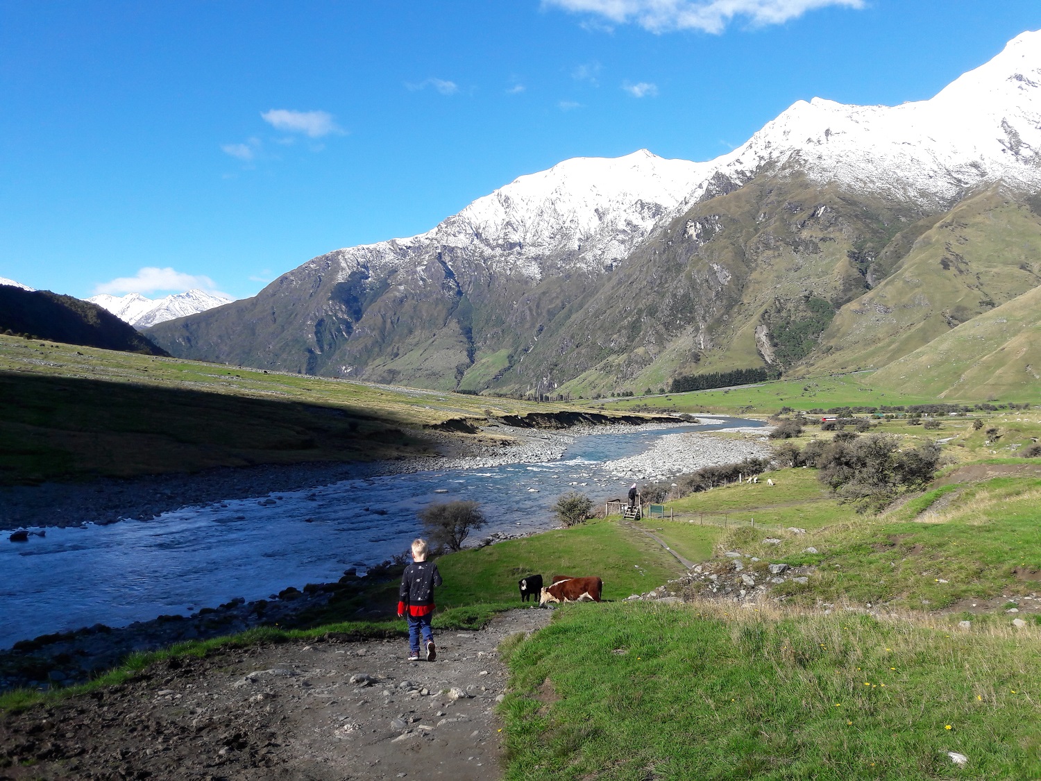 New Zealand with litte kids