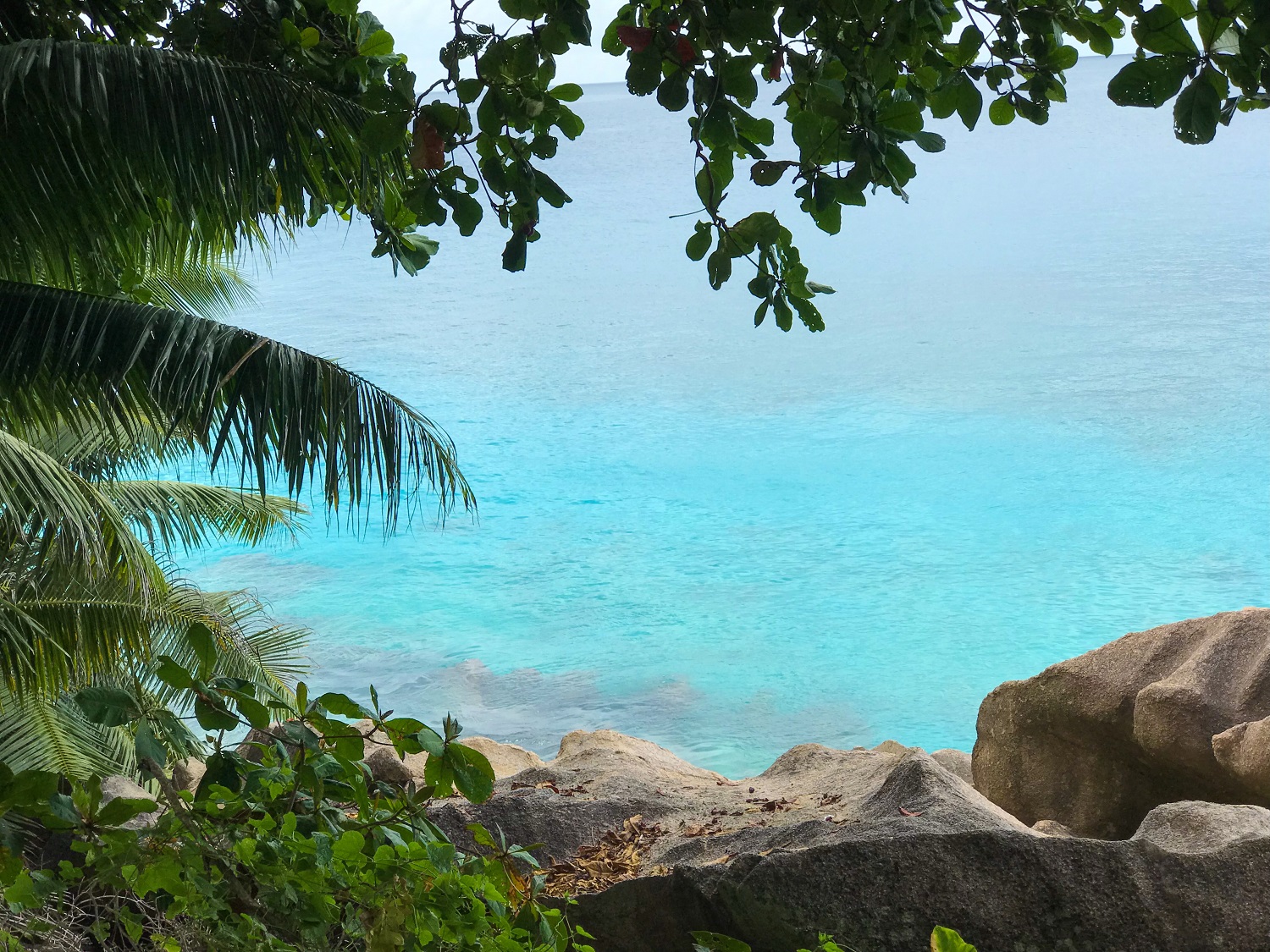 Kids Love Travel: 10 days Seychelles with kids