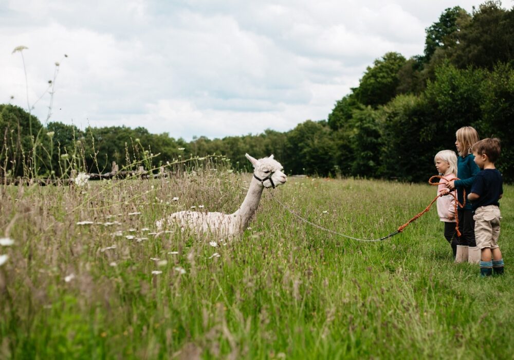 Kids Love Travel: Logeren bij de boer