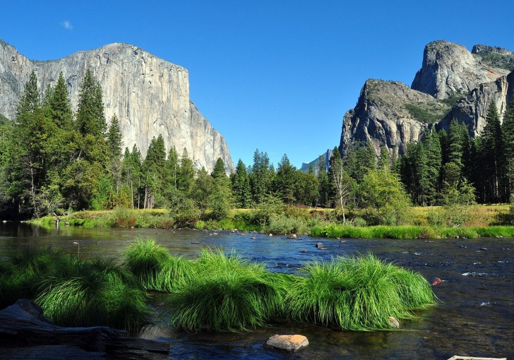 Kids Love Travel: Yosemite