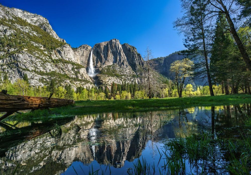 Kids Love Travel: Yosemite