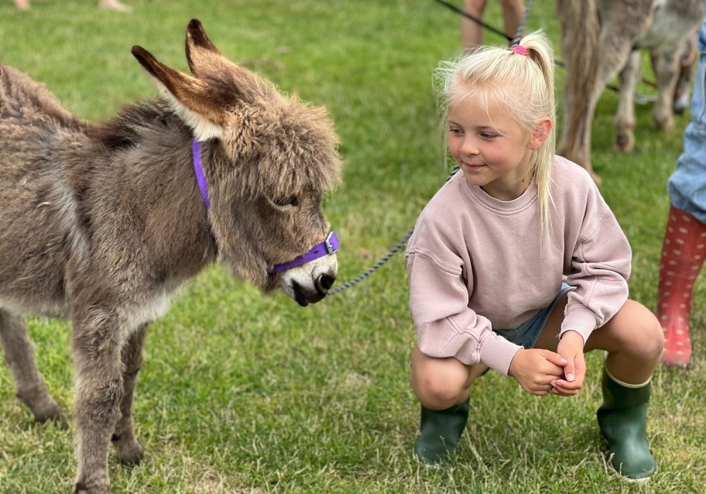 Kids Love Travel: Review boerderijcamping van het Zandeind