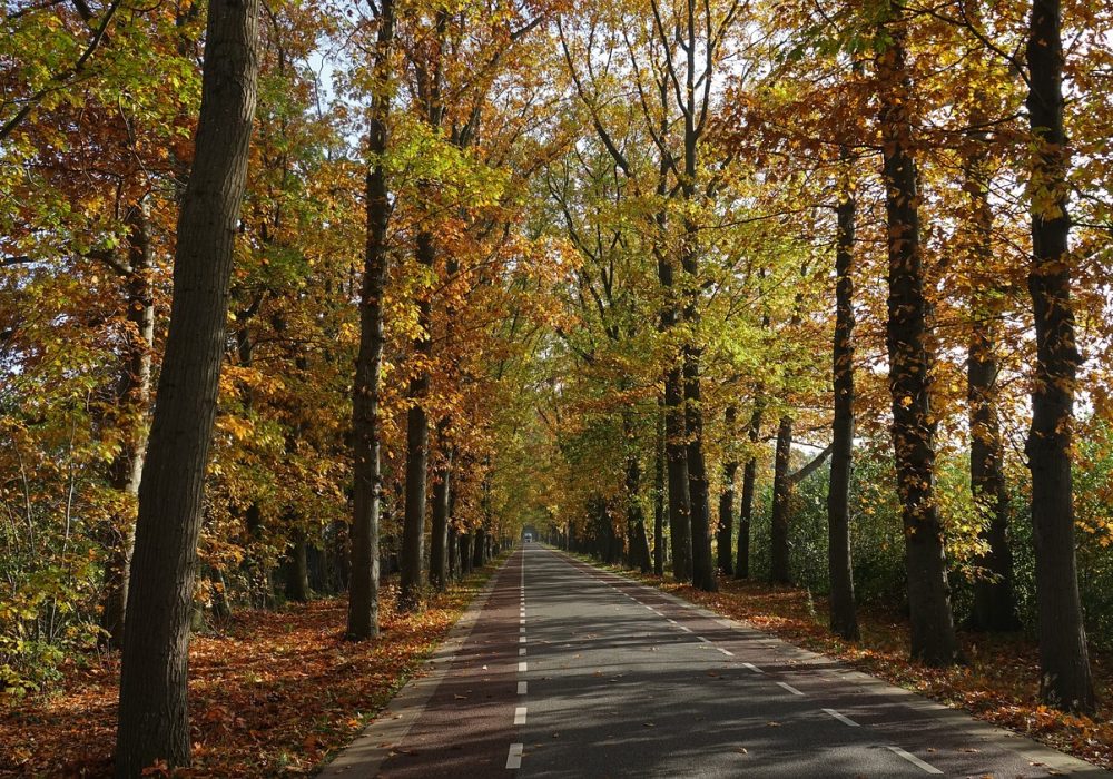 Kids Love Travel: Texel: fietsroutes in de Benelux