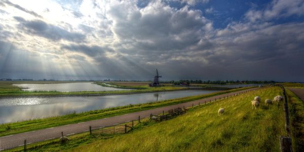 Kids Love Travel: Texel