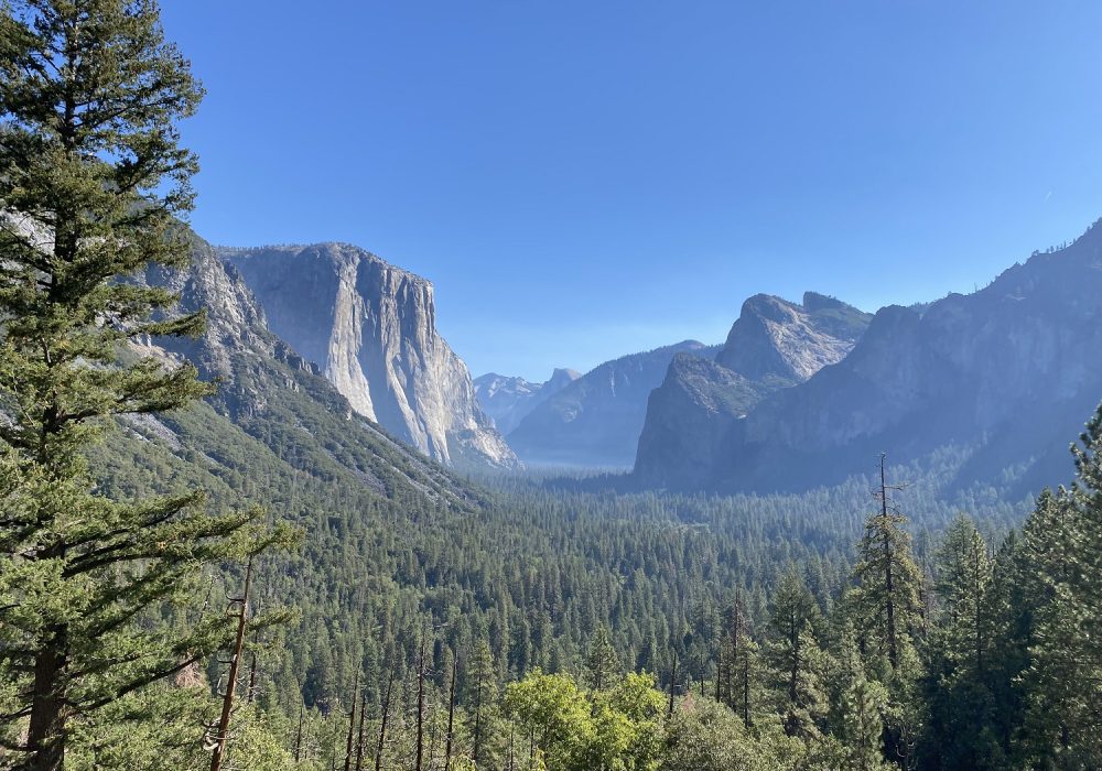 Kids Love Travel: Yosemite