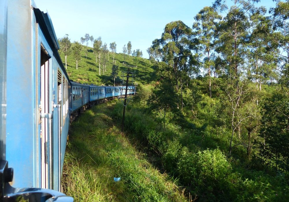 Sri Lanka: Kids love Travel