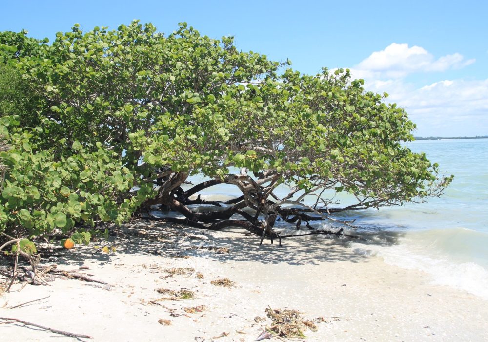 Kids Love Travel: Florida beaches